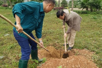 Phong Nha – Ke Bang National Park celebrated the incense offering memorial and launched New Year tree-planting festival